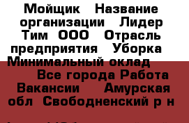 Мойщик › Название организации ­ Лидер Тим, ООО › Отрасль предприятия ­ Уборка › Минимальный оклад ­ 15 300 - Все города Работа » Вакансии   . Амурская обл.,Свободненский р-н